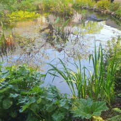 Bassin quelques années plus tard... (1)