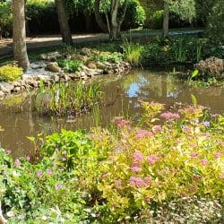 Bassin quelques années plus tard... (2)