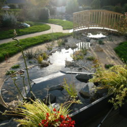 13- casacade et bassin aménagement final (1)