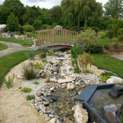 14- casacade et bassin aménagement final (2)