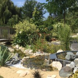 16- bassin quelques mois plus tard...