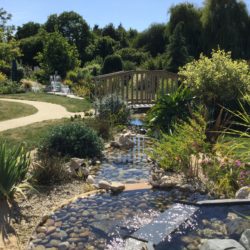 19- bassin quelques mois plus tard...