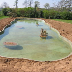 4-Mise en eau du bassin avec paniers de plantation