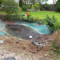 1- Bassin existant en bâche perforée