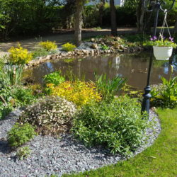 aménagement avec fleur bassin jcb