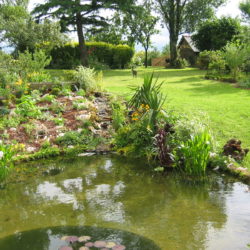 bassin jcb avec ruisseau