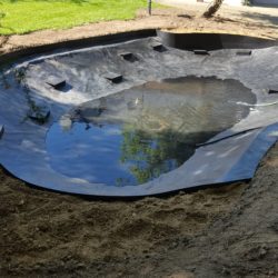 6- Bassin stratifié avec intégration de paliers pour plantations aquatiques