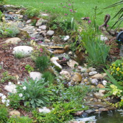 7- Aménagement du ruisseau et visuel quelques mois plus tard