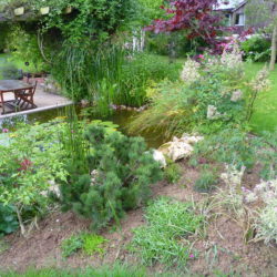 7- Terrasse à proximité du bassin