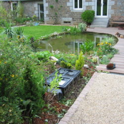 système filtration bassin