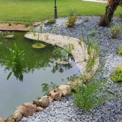 9- Aménagement du bassin et zones de berge