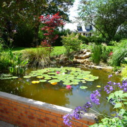 aménagement floral bassin jcb