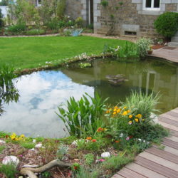 bassin jcb final avec fosse