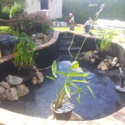 4-Mise en place des pompes, filtration...