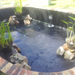 5- Aménagement aquatique