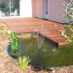 5- Plantations aux abords du bassin (1)