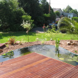 5- Plantations aux abords du bassin (2)