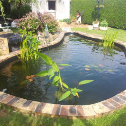 bassin JCB final avec eau