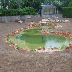 7- Aménagement cascade et berges du bassin