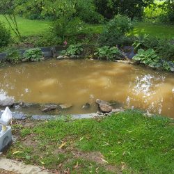 1-Bassin initial en bâche perforée