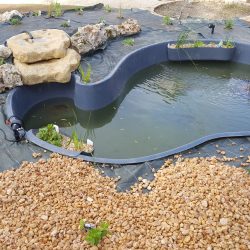 5-Mise en eau et aménagement du bassin