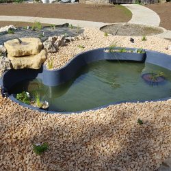 6-Décoration et aménagement pourtour bassin et cascade