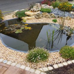 bassin JCB avec aménagement