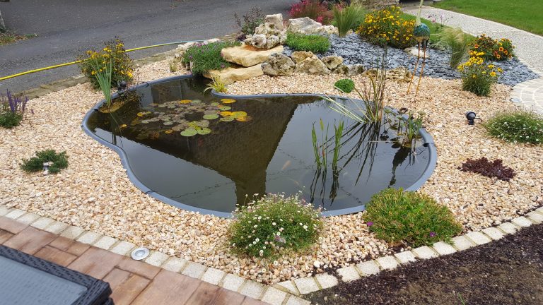 bassin JCB avec aménagement