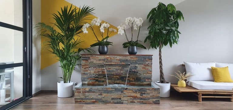 20210707 105916 - JCB Aquatique paysage