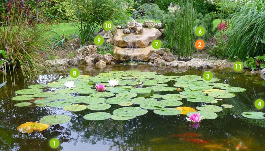 Kit bassin rond ELLEZ 2500 L Pins